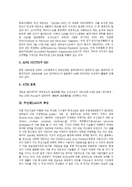 [랜, 무선랜, LAN] 랜(LAN) 표준화, 무선랜(LAN)의 특징, 무선랜(LAN)의 서비스 형태, 무선랜(LAN)의 현황과 과제, 무선랜(LAN)의 시사점 심층 분석-3