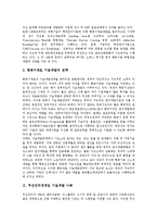 [기술개발, 기술개발사례] 항공기재료 기술개발 사례, 무선인터넷게임 기술개발 사례, 동물복제 기술개발 사례, 우주산업 기술개발 사례, 해양폐기물처리 기술개발 사례에 관한 분석-3