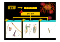 [관광학, 경영학] 전통민속놀이의 현대화 PPT자료 입니다!-18