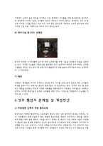 [관광학, 경영학, 호텔학] 펜션 관광 사업보고서 입니다-13
