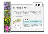 [관광학, 경영학, 호텔학, 컨벤션] 허브농장, 허브캐슬, 허브랜드 PPT자료입니다!-3