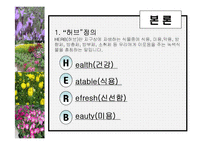 [관광학, 경영학, 호텔학, 컨벤션] 허브농장, 허브캐슬, 허브랜드 PPT자료입니다!-9