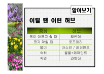 [관광학, 경영학, 호텔학, 컨벤션] 허브농장, 허브캐슬, 허브랜드 PPT자료입니다!-15