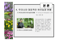 [관광학, 경영학, 호텔학, 컨벤션] 허브농장, 허브캐슬, 허브랜드 PPT자료입니다!-19