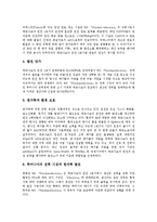 [루마니아] 루마니아의 역사, 루마니아의 자연환경, 루마니아의 경제성장, 루마니아의 구비문학, 루마니아의 원자력산업, 루마니아의 차우세스코 무덤에 관한 분석-10
