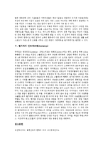 [벨기에] 벨기에의 역사, 벨기에의 경제, 벨기에의 교육, 벨기에의 사회체육제도, 벨기에의 안트베르펜(Antwerp)에 관한 심층 분석-6