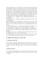 [위험관리시스템VaR] 위험관리시스템 VaR의 종류, 위험관리시스템 VaR의 계측방법, 위험관리시스템 VaR의 현황, 위험관리시스템 VaR의 문제점, 위험관리시스템 VaR의 한계와 고려사항 분석-3