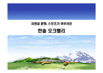 [관광학, 경영학, 홍보, 호텔학, 리조트, 컨벤션, 마케팅] 한솔오크밸리 PPT입니다!-1