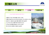 [관광학, 경영학, 홍보, 호텔학, 리조트, 컨벤션, 마케팅] 한솔오크밸리 PPT입니다!-10