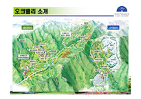 [관광학, 경영학, 홍보, 호텔학, 리조트, 컨벤션, 마케팅] 한솔오크밸리 PPT입니다!-11