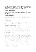 [도메인][도메인네임]도메인(도메인네임)의 구성, 도메인(도메인네임) 관련 명령어와 도메인(도메인네임) 분쟁관련 법적 문제, 도메인(도메인네임) 분쟁관련 법적용 분석(국내분쟁 사례, 국제분쟁 사례 중심)-4