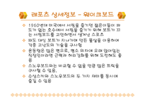 [경영, 관광경영] 스포츠 관광상품-13