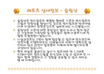 [경영, 관광경영] 스포츠 관광상품-20