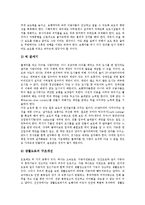 [보행, 보행환경] 보행의 의의, 보행환경의 중요성과 보행환경의 실태 및 보행환경의 전망 그리고 보행환경의 정책목표와 개선과제에 관한 분석-11