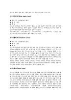 [사진] 사진의 본질, 사진과 카메라의 분류, 사진과 렌즈, 사진구도의 원칙에 관한 분석-10