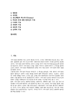 [샤머니즘] 샤머니즘의 본질과 기원, 샤머니즘과 이중적 영혼관, 샤머니즘의 상징체계, 샤머니즘의 사고체계에 관한 분석-2