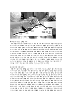 [재혼가족] 재혼가정의 실태, 문제점, 복지대책-5