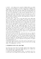 [IMT-2000] IMT-2000의 등장, 필요성, 특징, 발전과정과 IMT-2000의 무선기술 및 IMT-2000의 세계시장 동향, 표준화 동향 그리고 향후 IMT-2000의 전망 분석-6