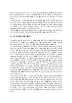 [IMT-2000] IMT-2000의 등장, 필요성, 특징, 발전과정과 IMT-2000의 무선기술 및 IMT-2000의 세계시장 동향, 표준화 동향 그리고 향후 IMT-2000의 전망 분석-8