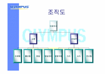 [마케팅분석] 디지털카메라 올림푸스 마케팅분석-6