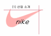[글로벌 마케팅]나이키의 글로벌 경영전략/사례-3