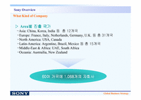 [마케팅]sony의 글로벌 경영전략/사례-5
