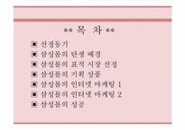 [마케팅사례조사]삼성몰의 인터넷마케팅 성공사례분석-2