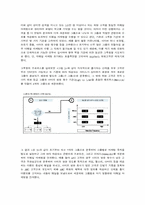 [서비스마케팅]이메일마케팅프레임워크 성공사례-삼성카드와 애니콜랜드-7