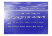 [인터넷마케팅]벅스뮤직의 마케팅분석 및 향후방안-11