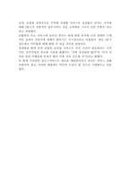 [인터넷쇼핑몰분석](주)다음커뮤니케이션의 디엔샵(D&Shop)-9