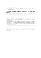 [국제마케팅] 미원 인도네시아의 초기 현지화 전략및 마케팅 방안-8