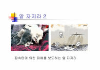 [대중문화론]언론 보도의 현 주소-이라크 전쟁 보도를 통해서 본 언론의 현실왜곡-14