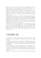 [마케팅서비스]스포츠마케팅에 관한 정의-10