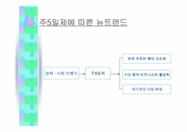 [마케팅원론]주5일제근무에 따른 마케팅전략변화분석-10