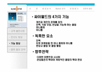 [마케팅분석]인터넷커뮤니티 싸이월드의 전략분석-17