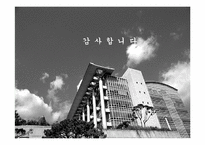 [마케팅전략]힐튼호텔의 Hhonors program 마케팅전략 연구-14