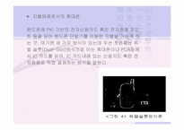 [전자상거래]인터넷은행의 현황과 전망-9