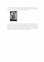 [환경오염]위험요소의 주요유형-환경유해물질들-15