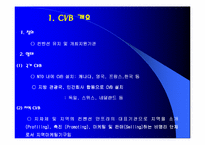 지역 CVB 운영 방향-3