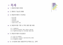 [사업계획서]신개념미팅사이트(발표용자료)-2