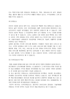 [인터넷과 마케팅]네오위즈(sayclub) 마케팅 전략-6