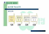 [유통과 마케팅]농협 유통 성공전략-16