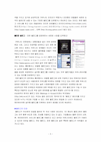 [인터넷과 마케팅]싸이월드 성공 전략-5