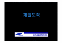 [유통과 마케팅]제일모직 성공전략-1