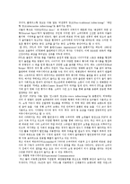 [마케팅원론] 브랜드 마케팅 전략-8