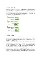 [병행수입] 병행수입의 원인과 효과, 문제점 및 개선방안 분석-2