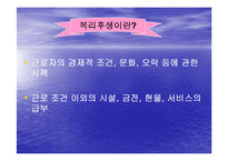 [복리후생, 카페테리아식 복리후생] 복리후생제도(현대건설, LG유통, IBM)-4