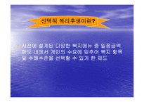 [복리후생, 카페테리아식 복리후생] 복리후생제도(현대건설, LG유통, IBM)-5