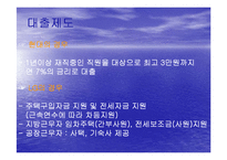 [복리후생, 카페테리아식 복리후생] 복리후생제도(현대건설, LG유통, IBM)-10