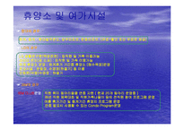[복리후생, 카페테리아식 복리후생] 복리후생제도(현대건설, LG유통, IBM)-13